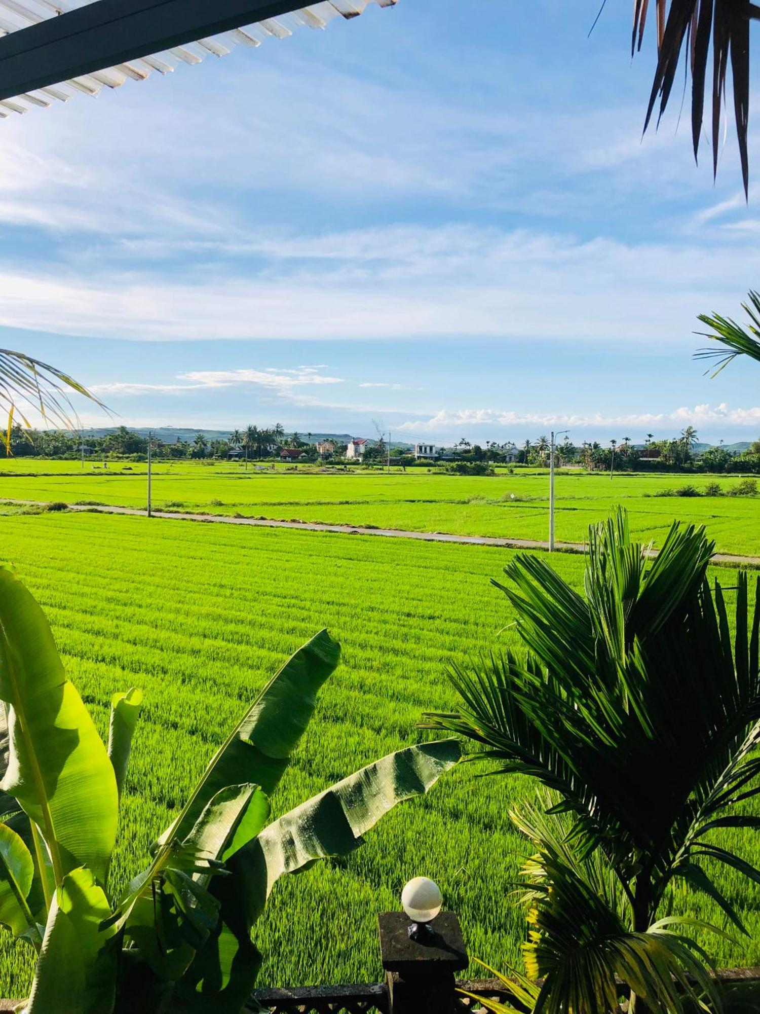 Countryside Homestay Quang Ngai Exterior foto