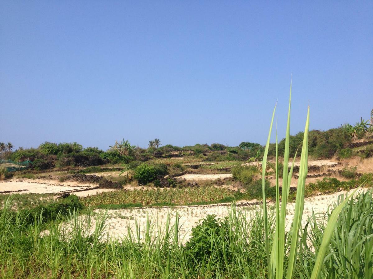 Countryside Homestay Quang Ngai Exterior foto